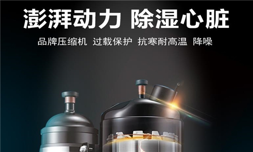 空氣抽濕機(jī)對(duì)絲綢倉(cāng)庫(kù)的重要性