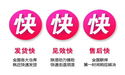 解決潮濕和霉菌問題：如何處理受潮的被子？