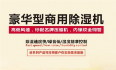 這是一份工業(yè)除濕機(jī)購買指南 請(qǐng)你查收