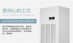 工業(yè)自動除濕機