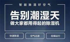 你需要什么樣的除濕機？
